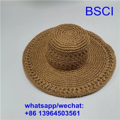 সূর্যের ভিসার নির্বাচন প্রম্পট