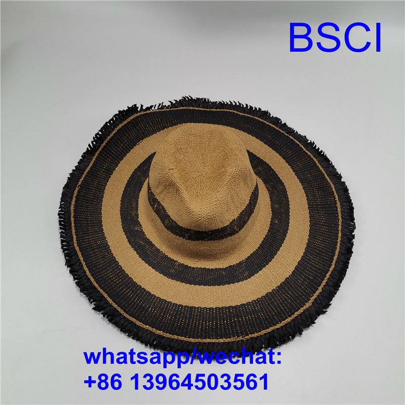 সূর্যের হাট